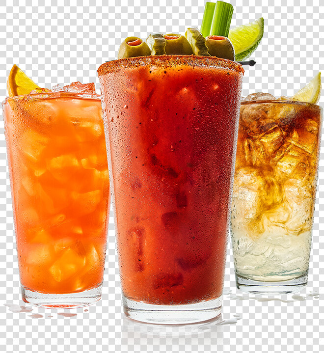 A Buffalo Zoo Cocktail  Bloody Mary  And Long Island   Classic Cocktail  HD Png DownloadTransparent PNG