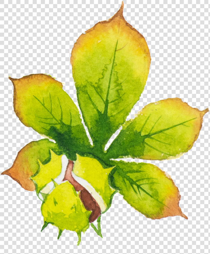 Hand painted Green Leaf Hd Beautiful Png   Watercolor Paint  Transparent PngTransparent PNG