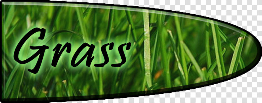 070 Large   Green Grass  HD Png DownloadTransparent PNG