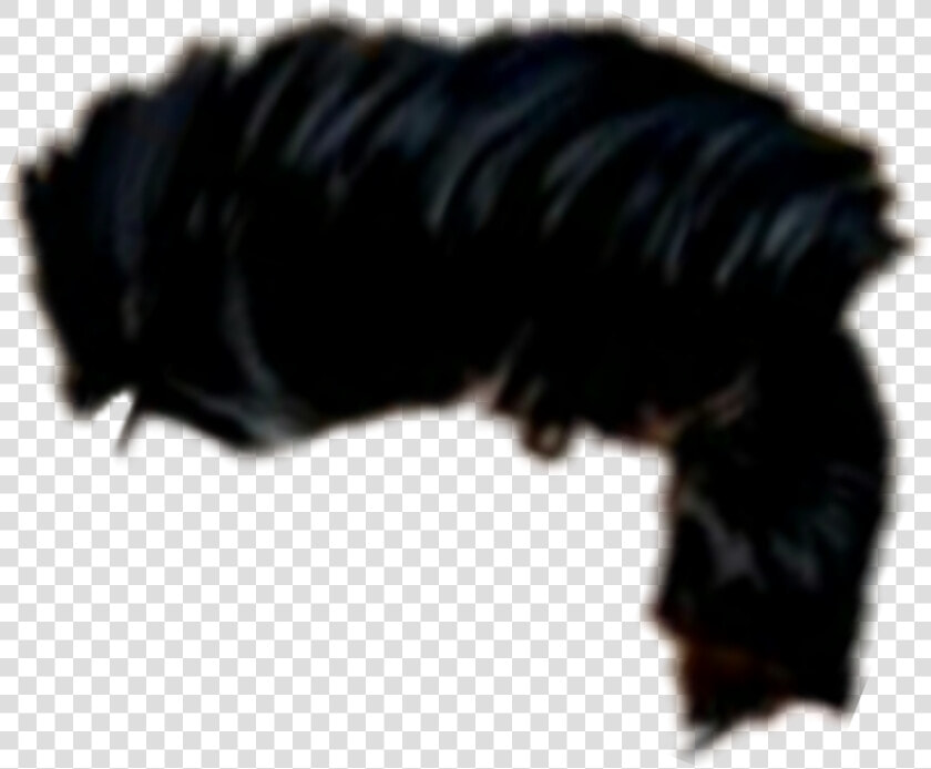 Hair Png  Hair Png Cb  Picsart Hair Png  Cb Hair Png    Macro Photography  Transparent PngTransparent PNG