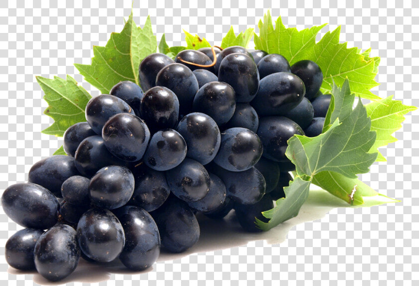 Download Grape Png   Grape Png  Transparent PngTransparent PNG