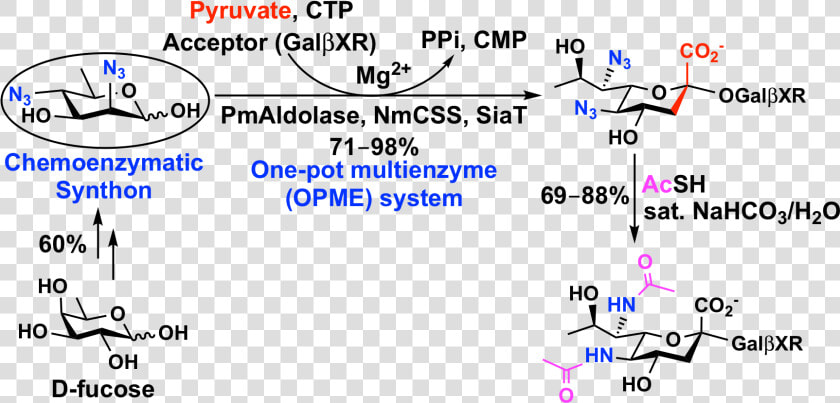 The Top Left Shows A Chemoenzymatic Synthon Easily   Chemical Synthesis Of Carbohydrates  HD Png DownloadTransparent PNG