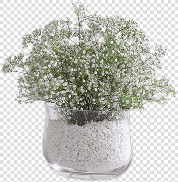 Baby Breath Flower Arrangement  HD Png DownloadTransparent PNG