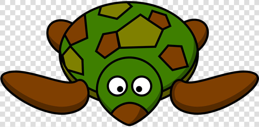 Transparent Cute Turtle Png   Cartoon Turtle Clipart  Png DownloadTransparent PNG