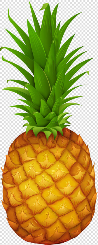 Clip Art Pineapple Gallery Yopriceville High   Clip Art Pineapple Png  Transparent PngTransparent PNG