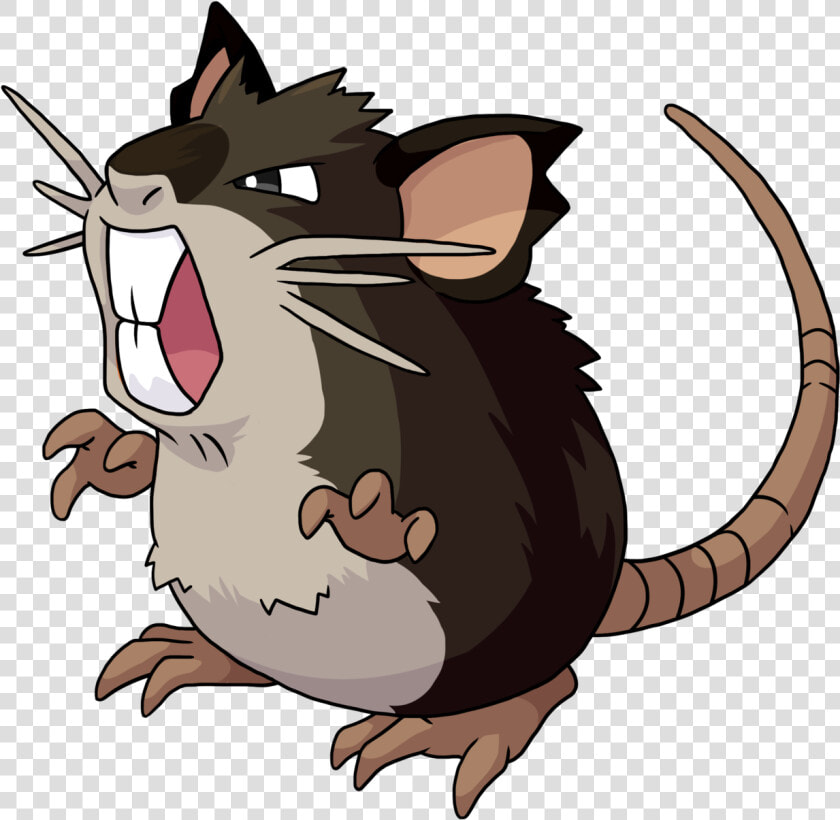 Hold On Tight And Don T Look Back 19 20 807 Variations   Pokemon Raticate  HD Png DownloadTransparent PNG