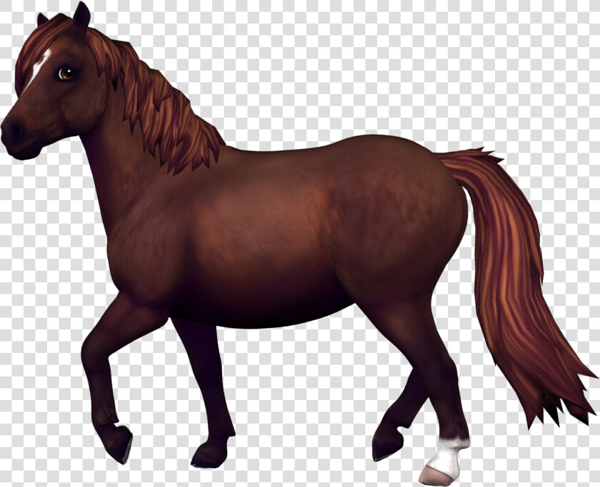 Star Stable Transparent Horse   Star Stable Jorvik Pony  HD Png DownloadTransparent PNG