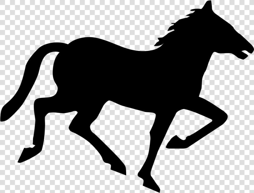 Horse   Wild Horses Or Ponies  HD Png DownloadTransparent PNG