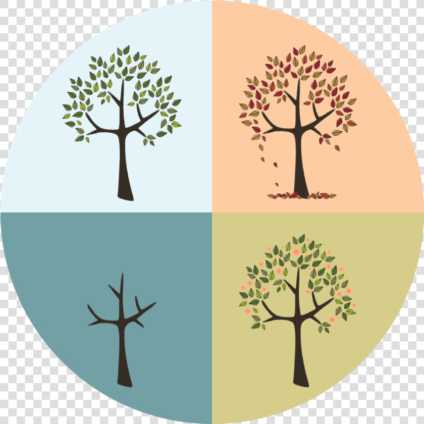 Seasons  HD Png DownloadTransparent PNG