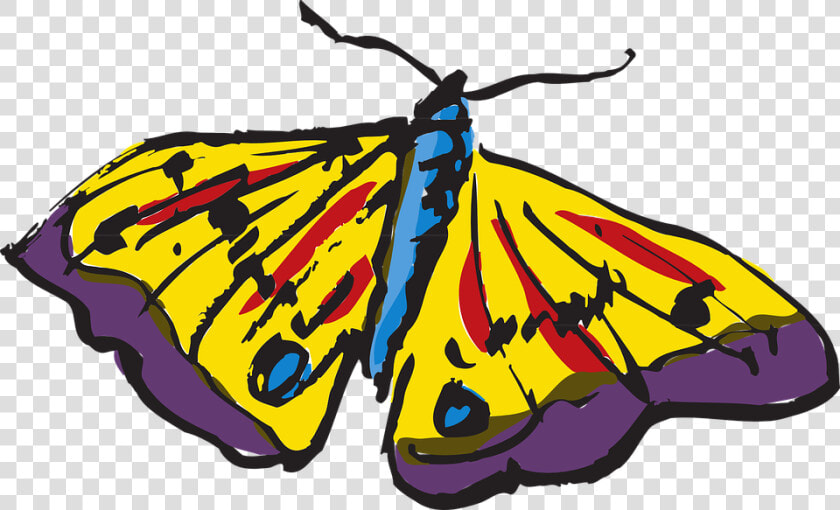 Brush footed Butterfly  HD Png DownloadTransparent PNG