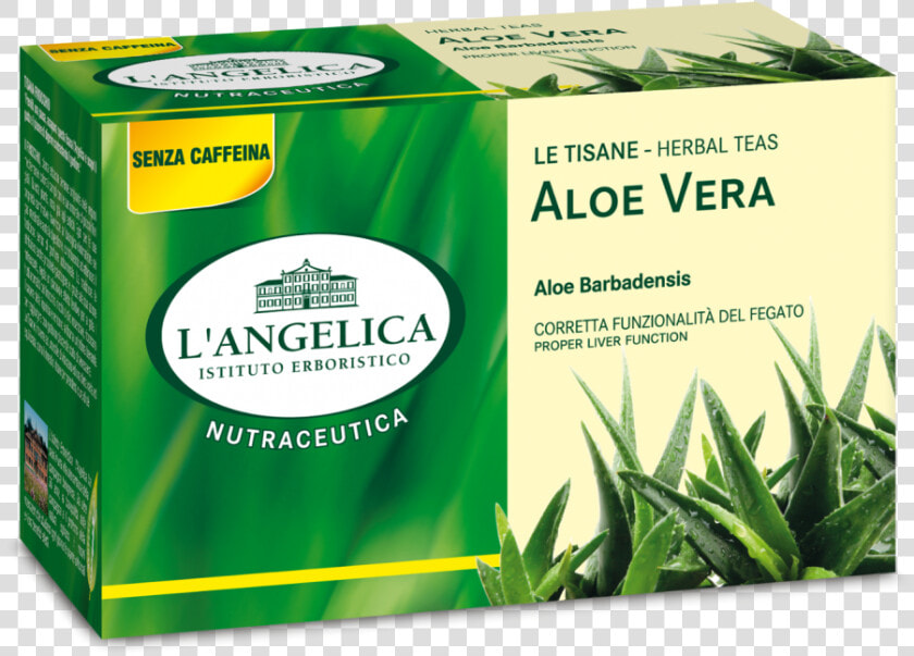 Tisana Caffè Verde L Angelica  HD Png DownloadTransparent PNG