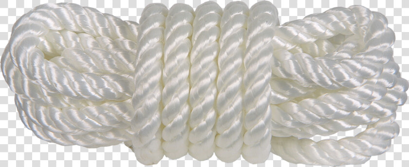 Transparent Lasso Rope Png   Wing  Png DownloadTransparent PNG