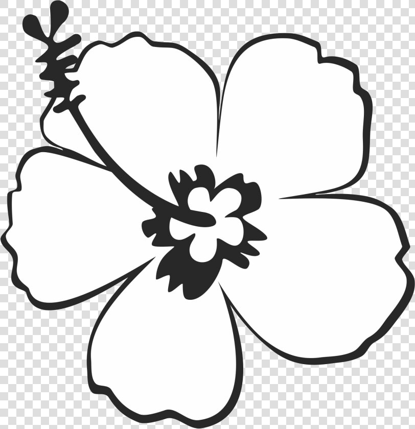 Excelent 999 Flower Clipart Black And White  free Download    Hibiscus Flower Clipart Black And White  HD Png DownloadTransparent PNG