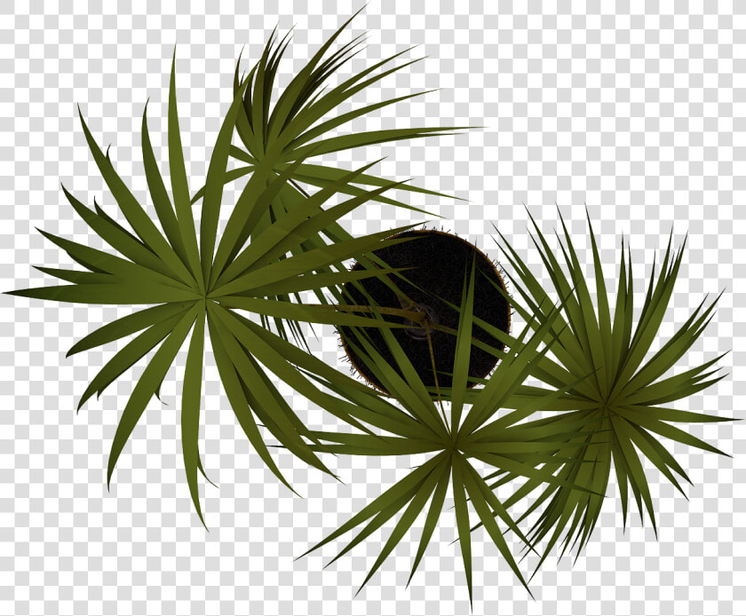 Tubos De Imagen   Vegetacion En Planta Png  Transparent PngTransparent PNG