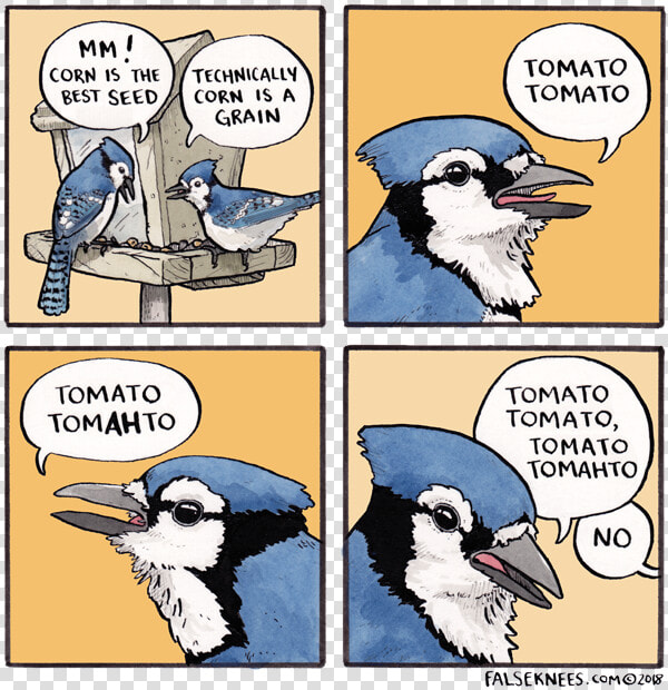 Tomato Tomato Birds Comic  HD Png DownloadTransparent PNG