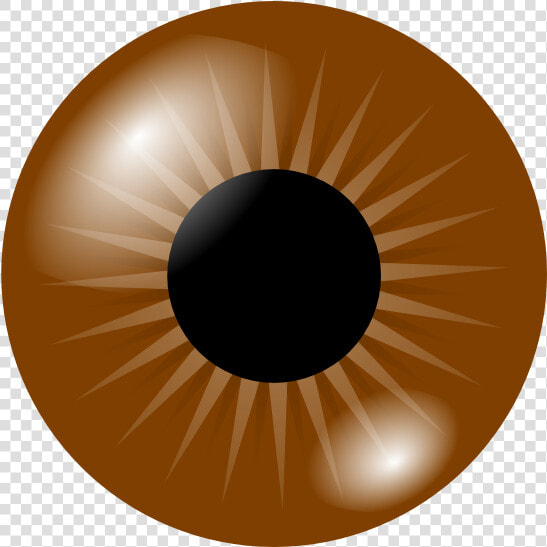 Brown Eye Clip Art At Vector   Brown Eyes Clipart  HD Png DownloadTransparent PNG