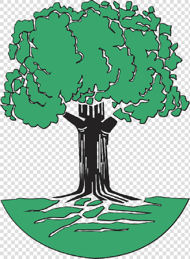 Tree With Roots Clip Art Free   Johann Pachelbel Family Tree  HD Png DownloadTransparent PNG