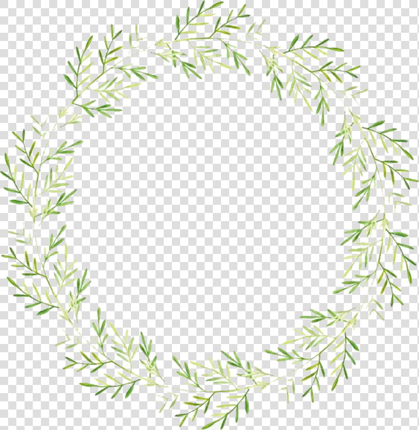 Png Transparent Stock Transparent Wreath Vine   Transparent Background Leaf Wreath Png  Png DownloadTransparent PNG