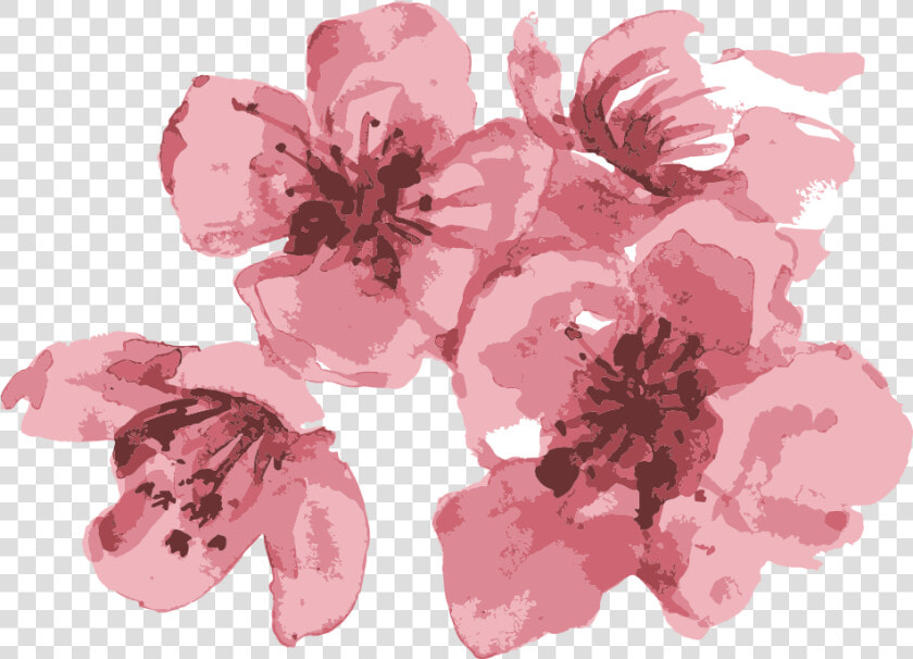 Visit Our Event Site   Hibiscus  HD Png DownloadTransparent PNG