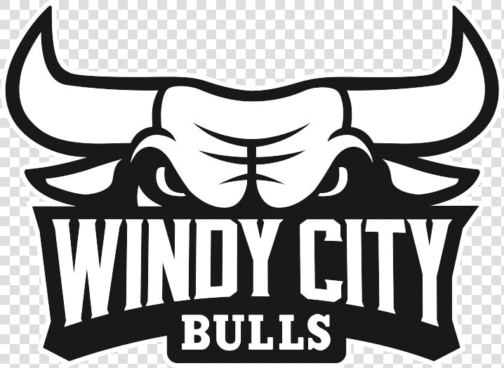 Transparent Bull Vector Png   Windy City Bulls Logo Png  Png DownloadTransparent PNG