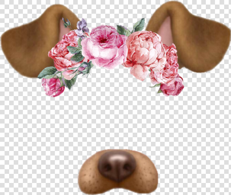  filter  snapchat  dog  tumblr  flores   Dog Snapchat Png  Transparent PngTransparent PNG