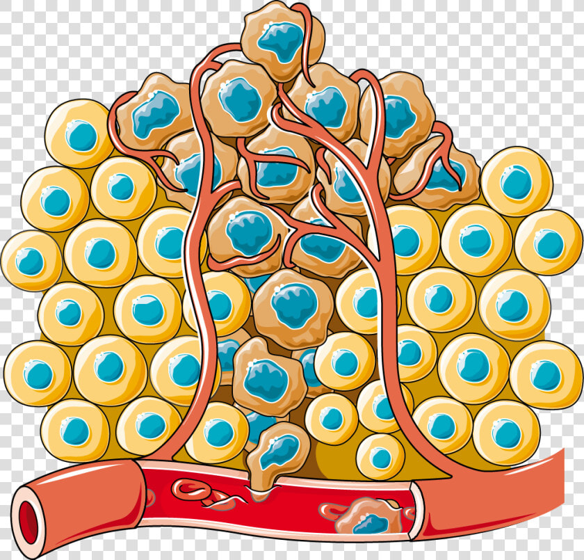 Transparent Cancer Cell Clipart   Circulating Tumor Cells Type  HD Png DownloadTransparent PNG