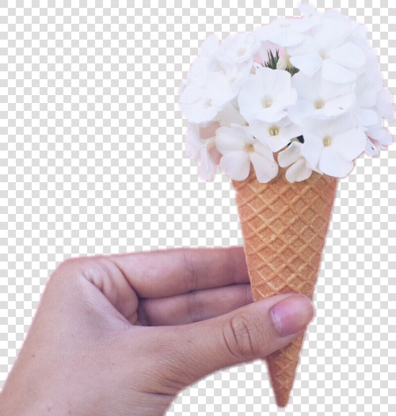 Icecream Icecreamcone Flowers  HD Png DownloadTransparent PNG