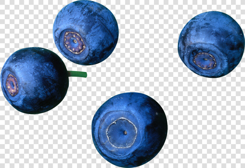 Blueberries  HD Png DownloadTransparent PNG