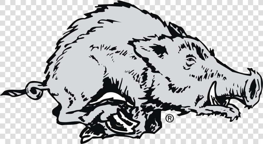 Arkansas Razorbacks  HD Png DownloadTransparent PNG