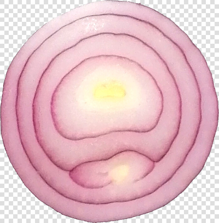 Sliced Onion 2   Red Onion  HD Png DownloadTransparent PNG