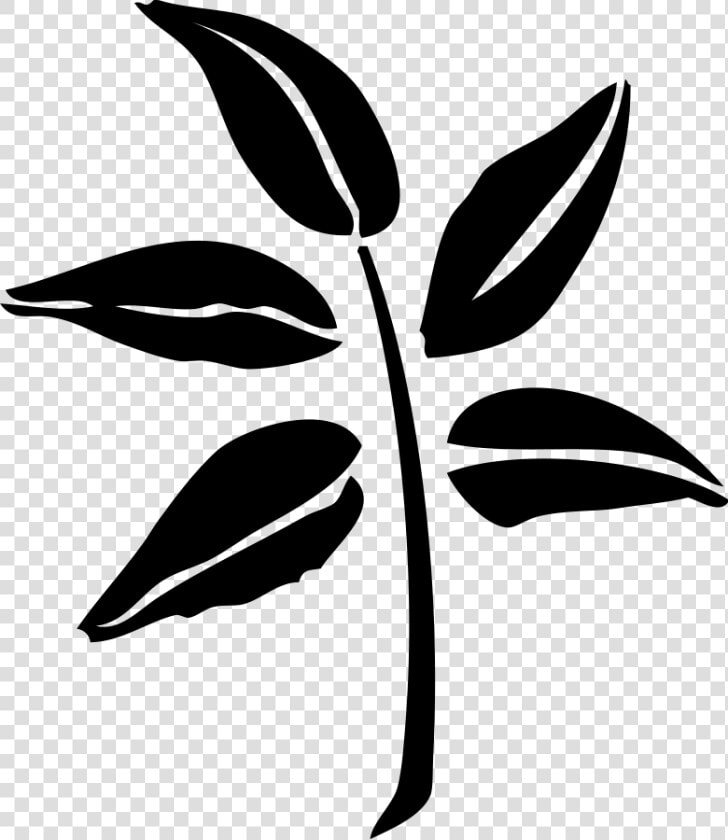 Leaf Silhouette Clip Art Free Vector   4vector   Neem Leaf Silhouette  HD Png DownloadTransparent PNG