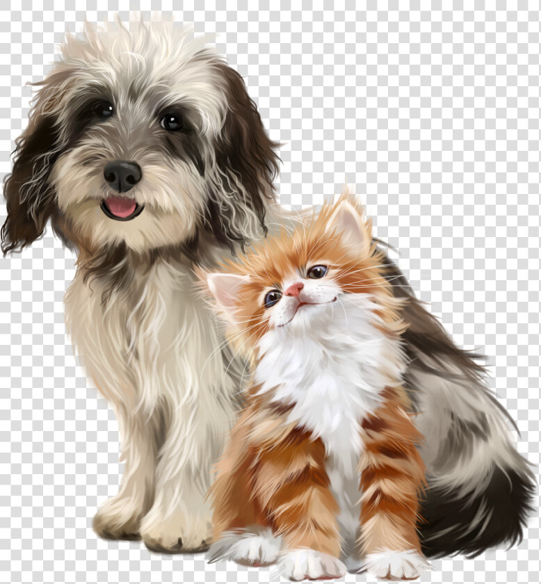 Cute Clipart  Robin James  Dc Comics  Dog Cat  Pies    Flower Crown Dog Cat Painting  HD Png DownloadTransparent PNG