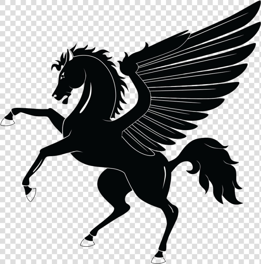 Pegasus Png Transparent Background   Pegaso Blanco Y Negro  Png DownloadTransparent PNG