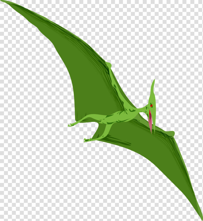 Plant flora leaf   Pterodactyl Dinosaur Clipart  HD Png DownloadTransparent PNG