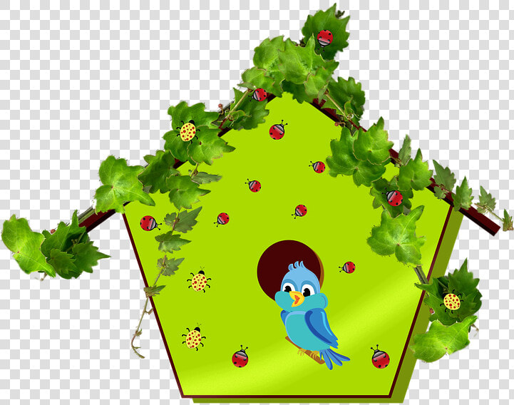 Bluebird  Bird  Birdhouse  Avian  House  Home  Insects   Birdhouse Clipart  HD Png DownloadTransparent PNG