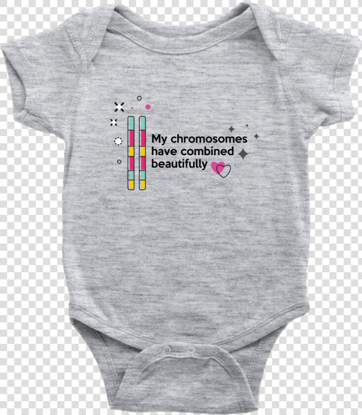 Chromosomes Png  Transparent PngTransparent PNG