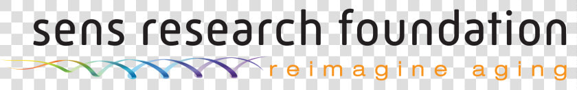 Sens Research Foundation  HD Png DownloadTransparent PNG