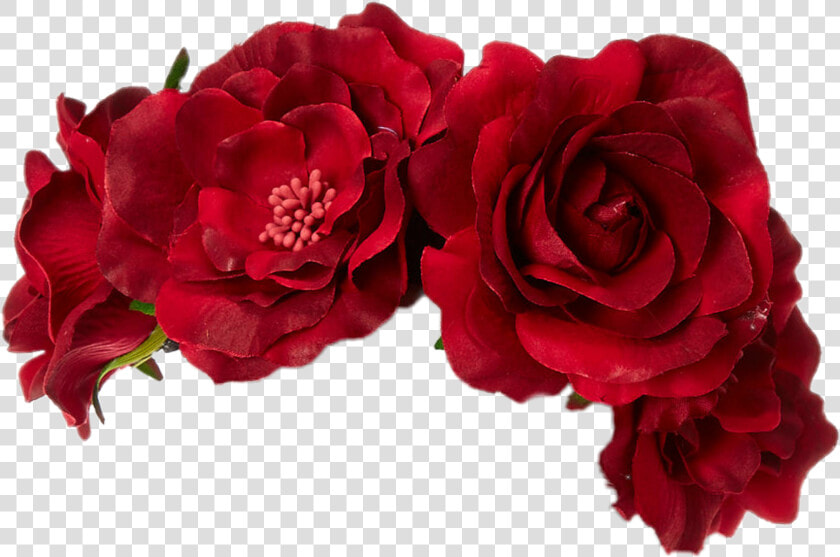  redroses  flowercrown   Red Flower Crown Png  Transparent PngTransparent PNG