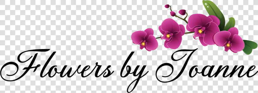 Flowers By Joanne   Moth Orchid  HD Png DownloadTransparent PNG