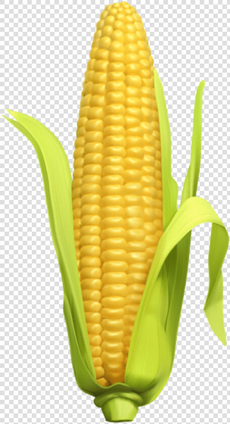 Free Png Download Corn Png Images Background Png Images   Corn Transparent Background Clipart  Png DownloadTransparent PNG