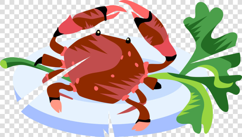 Vector Illustration Of Decapod Marine Crustacean Crab  HD Png DownloadTransparent PNG