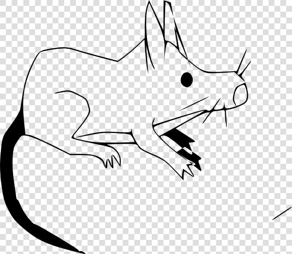 Hewan Tikus Hitam Putih  HD Png DownloadTransparent PNG