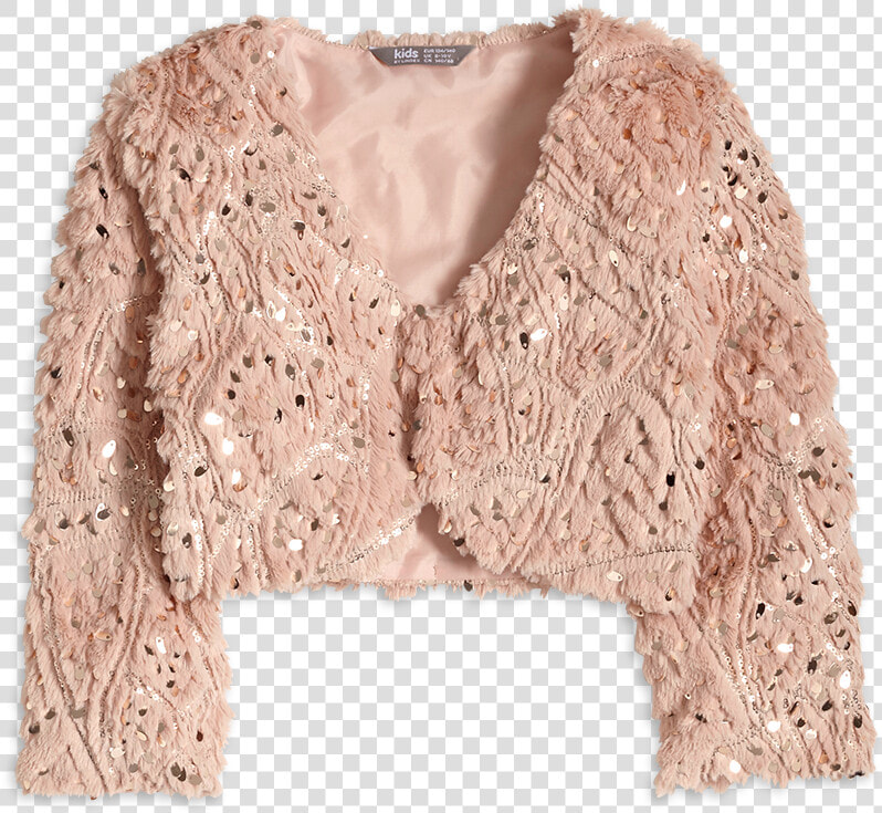 Cardigan  HD Png DownloadTransparent PNG