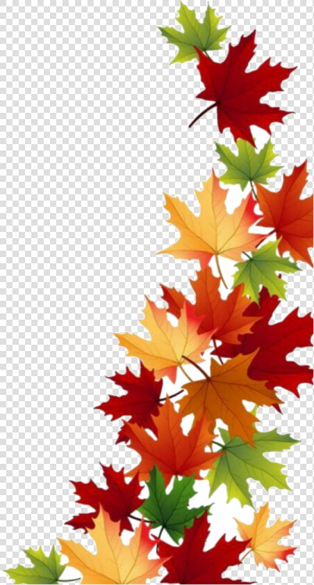 Fall Border Freetordit Summer Daun Clipart Edit Leaves   Transparent Background Fall Leaves Clipart  HD Png DownloadTransparent PNG