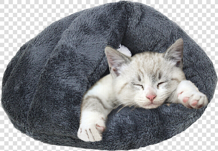 Deluxe Sleeping Toy Cave Bed For Cats Or Puppy   Cat Grabs Treat  HD Png DownloadTransparent PNG