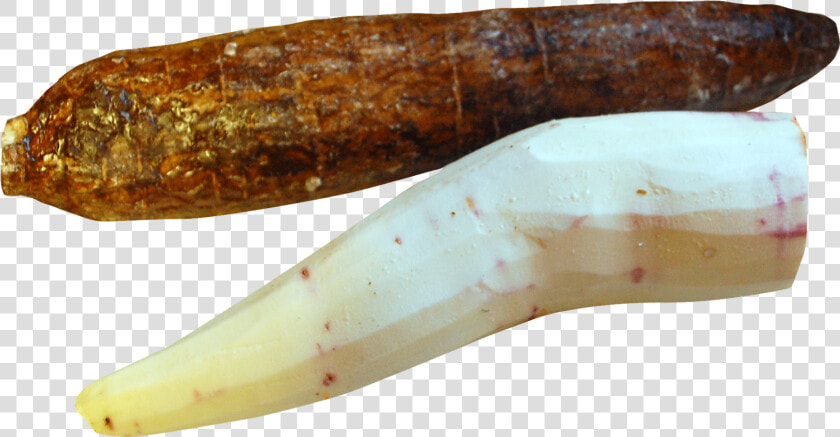 Cassava Peeled Png Image   Cassava Peeling Clipart  Transparent PngTransparent PNG