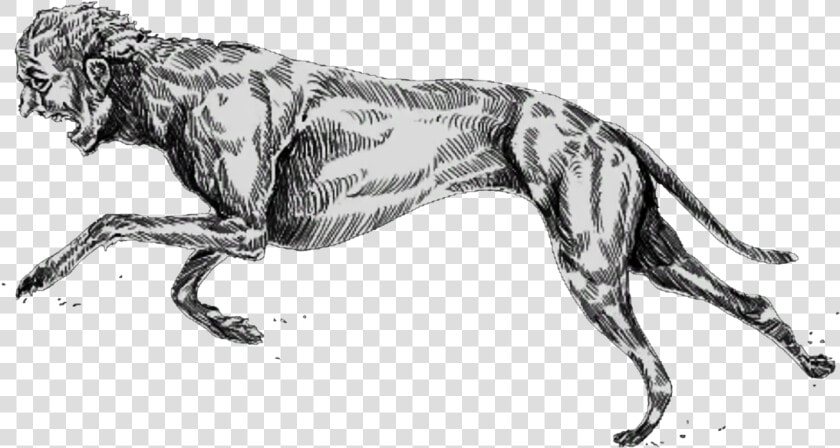 Greyhound Trait Hunt Showdown  HD Png DownloadTransparent PNG