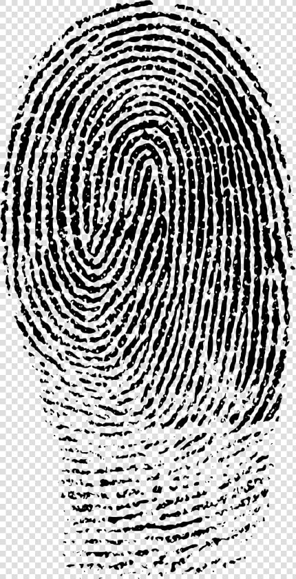 Fingerprints Images Png   Index Finger Print Png  Transparent PngTransparent PNG