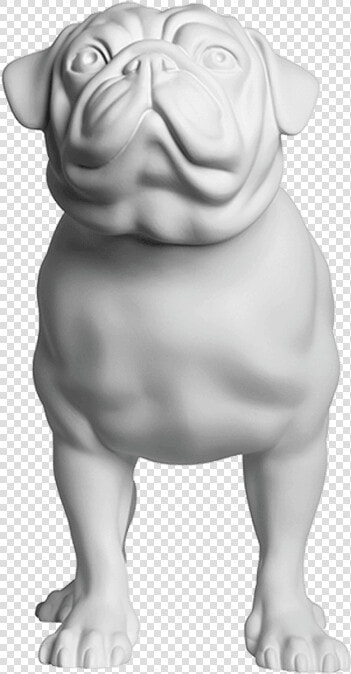 Pug Marty Position  HD Png DownloadTransparent PNG