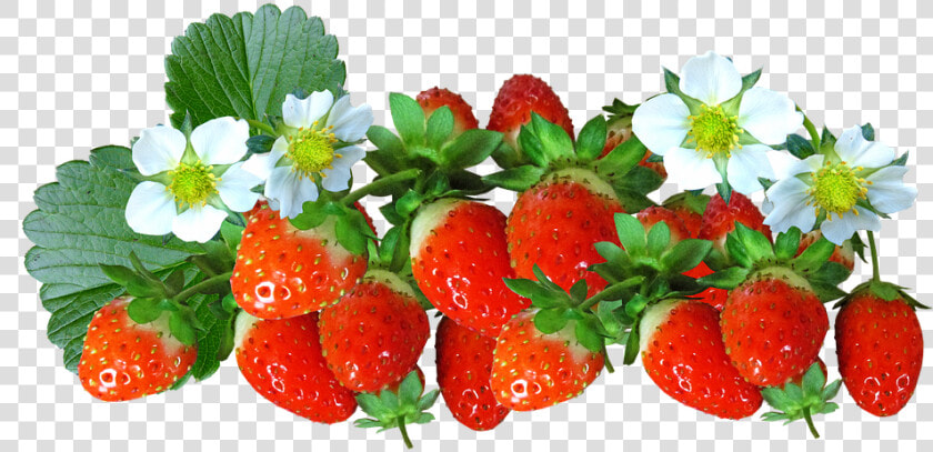 Strawberries  Fruit  Food  Flowers  Summer  Natural   Fruit And Flower Transparent  HD Png DownloadTransparent PNG